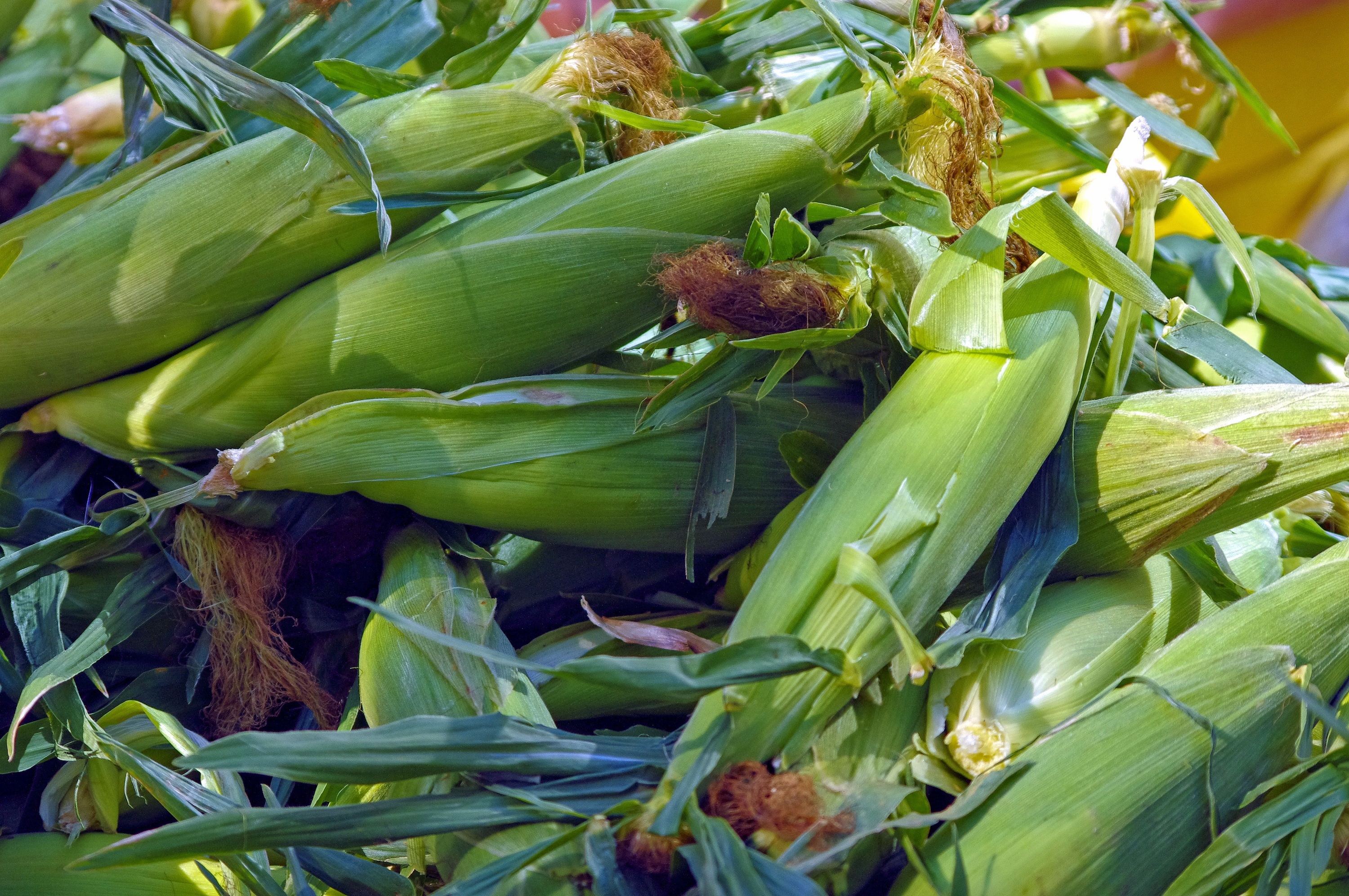 Grains & Cereals