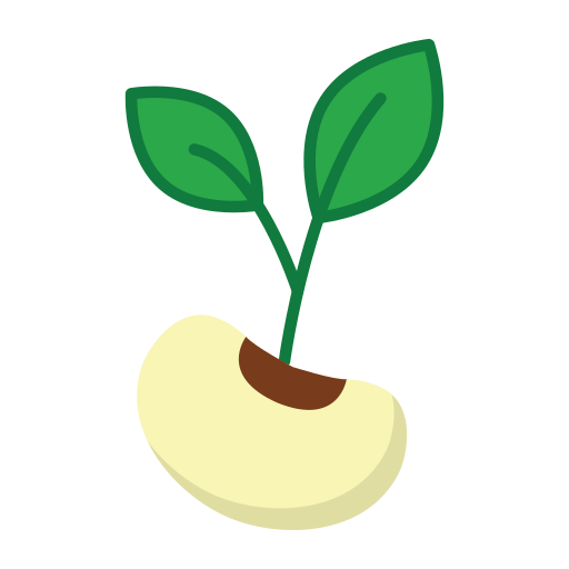 Ncube Fresh Produce